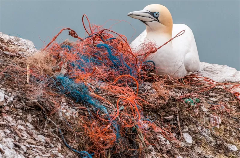 Global Plastics Pact Talks Fail To Reach Deal