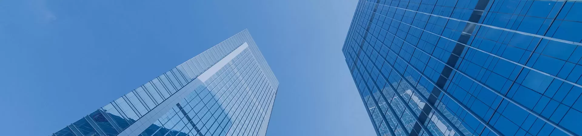 Company Service